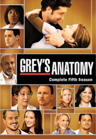   /   / Greys Anatomy ( 5) (2008)