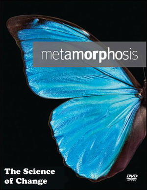 BBC:   -  / Metamorphosis. The Science of  ...