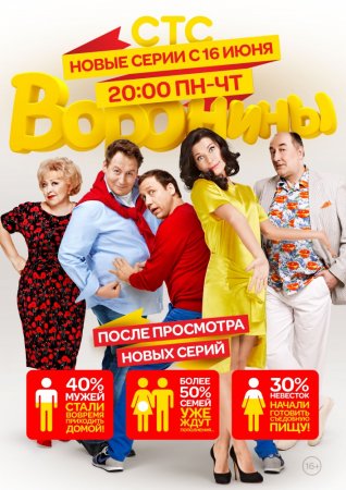 Воронины (Сезон 1-15) (2009-2017)