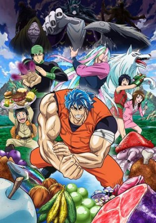  / Toriko ( 1) (2011-2013)