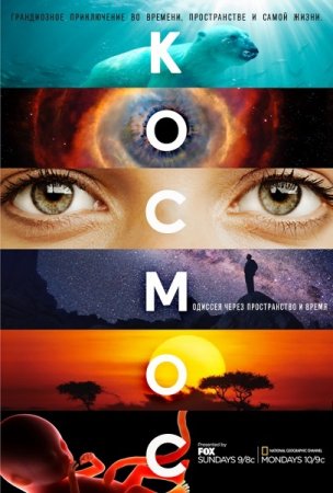 Космос: Пространство и время / Cosmos: A Space-Time Odyssey (Сезон 1) (2014 ...