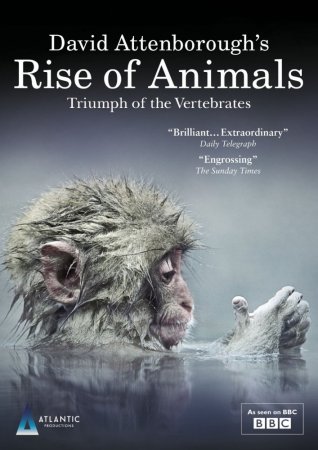 BBC.  :   / Rise of Animals: Triumph of t ...