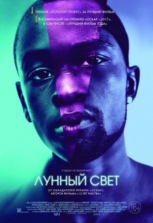   / Moonlight (2016)